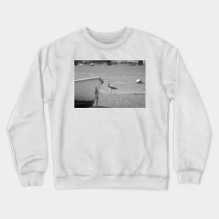White-faced heron juvenile at waters edge beyond bow of boat in monochrome. Crewneck Sweatshirt